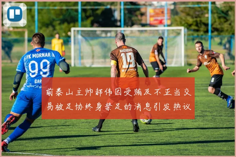前泰山主帅郝伟因受贿及不正当交易被足协终身禁足的消息引发热议